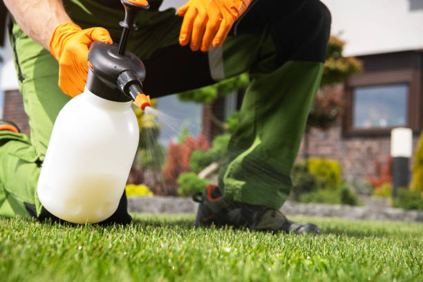 Best Pest Prevention Services  in Rochelle, GA
