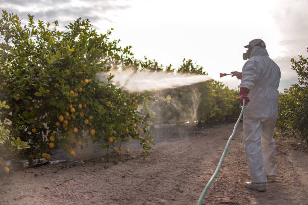 Best Commercial Pest Control Services  in Rochelle, GA