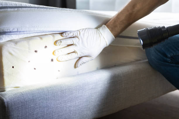 Best Pest Inspection Near Me  in Rochelle, GA