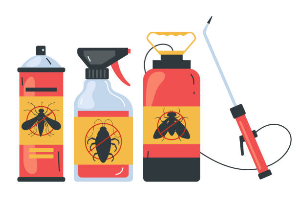 Best Insect Control  in Rochelle, GA