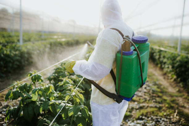 Best Best Pest Control Companies  in Rochelle, GA